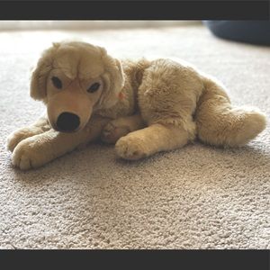 Steiff FAO Schwarz American Kennel Club plush - Golden Retriever